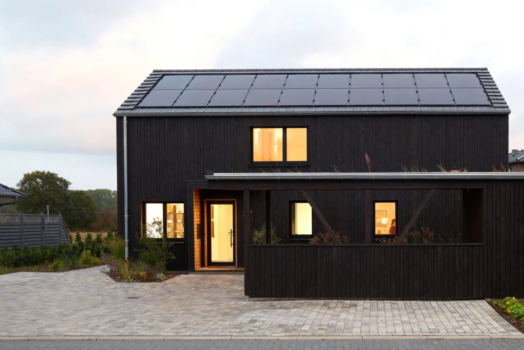 Timm & Flo Background Zitat