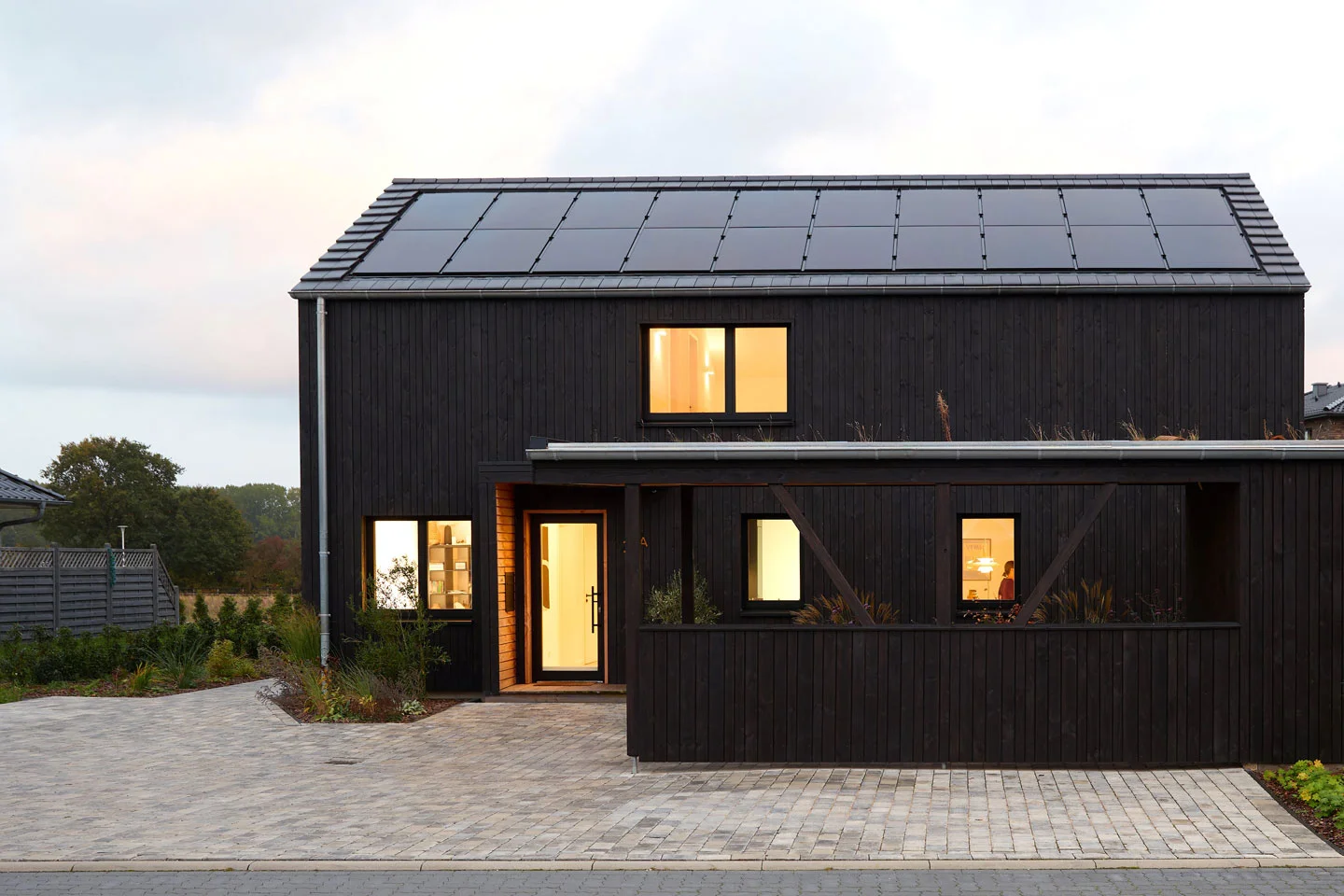 Timm & Flo Background Zitat